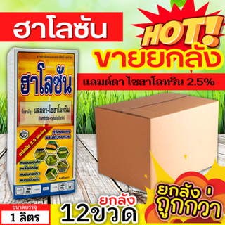 🌾 💥💥 สินค้ายกลัง 💥💥 ฮาโลซัน (แลมป์ดา-ไซฮาโลทริน) ขนาด 1ลิตรx12ขวด ป้องกันกำจัดหนอน เพลี้ยไฟ แมลงหร่า เพลี้ยจักจั่น