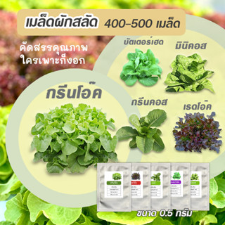 เมล็ดพันธุ์สลัดคุณภาพ ประมาณ 0.5 กรัม (ประมาณ400-500 เมล็ด)   สินค้ามีการเปลี่ยนแปลงแพ็คเกจชั่วคราว