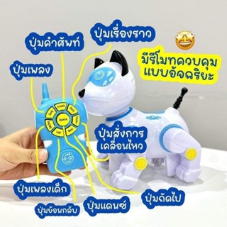 หุ่นยนตบังคับ พรีเมี่ยมจาก HiQ