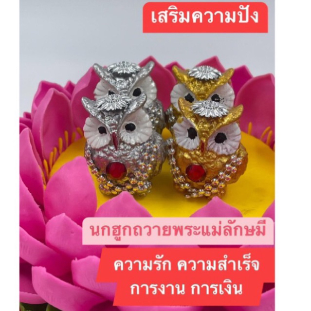 นกฮูก ราคาพิเศษถวายพระแม่ลักษมีให้ปัง สำเร็จ เบิกเนตรและทำพิธีแบบปัง มาแล้วค่ะแต่งเครื่องประดับ