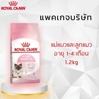 Mother &amp; Baby Cat ขนาด 1.2 kg. แม่แมวตั้งท้อง-ให้นม