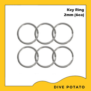 Key Ring Split Ring 2mm (6ea)