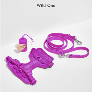 💜 Limited Color! │ Wild One – Walk Sets│ Orchid