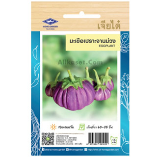 เมล็ดพันธ์ มะเขือเปราะจานม่วง ตราเจียไต๋