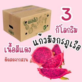 พร้อมส่ง แก้วมังกรภูเรือ เนื้อแดง 3 kg. #แก้วมังกรตัดสดจากสวน