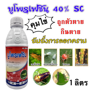 แอ็กบู(บูโพรเฟซิน40%)คุมไข่เพลี้ย ไข่หนอน ฆ่าตัวอ่อน เพลี้ยต่างๆ 1 ลิตร