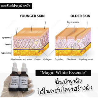 (แพ็คเกจปัจจุบัน) Magic White Essence เมจิก ไวท์ เอสเซ็นซ์ บำรุงลึกถึงระดับโครงสร้างผิว  ผิวใส น้ำตบ เอสเซ้นส์