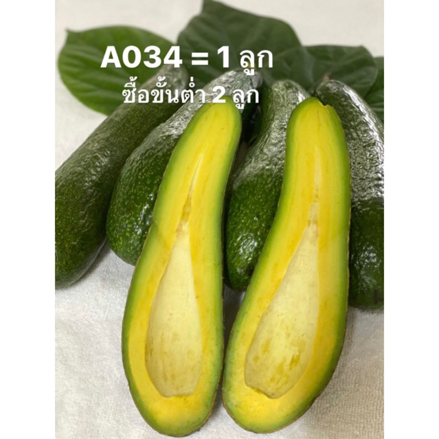 อะโวคาโด A034 คัดเกรด 2 กิโล เหนียว มัน อร่อย 🥑 ส่งจากเชียงใหม่ พื้นที่ห่างไกล งดเคลมทุกกรณี
