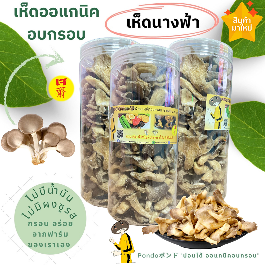เห็ดนางฟ้าอบกรอบ บรรจุกระปุกอย่างดี ขนาด130กรัม "PONDOออแกนิคอบกรอบ" ไม่ใช้น้ำมัน รับประกันความกรอบอร่อย
