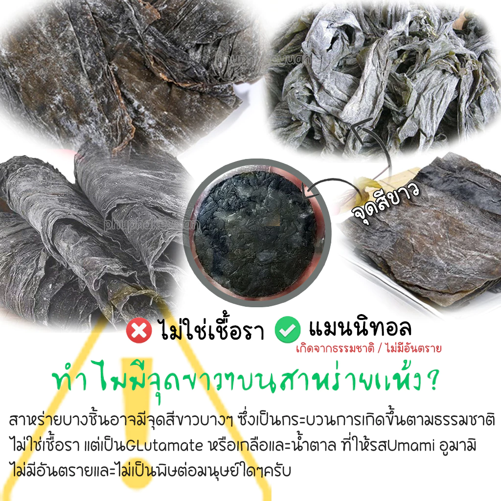 สาหร่ายวากาเมะอบแห้ง เกรด A thumbnail 10