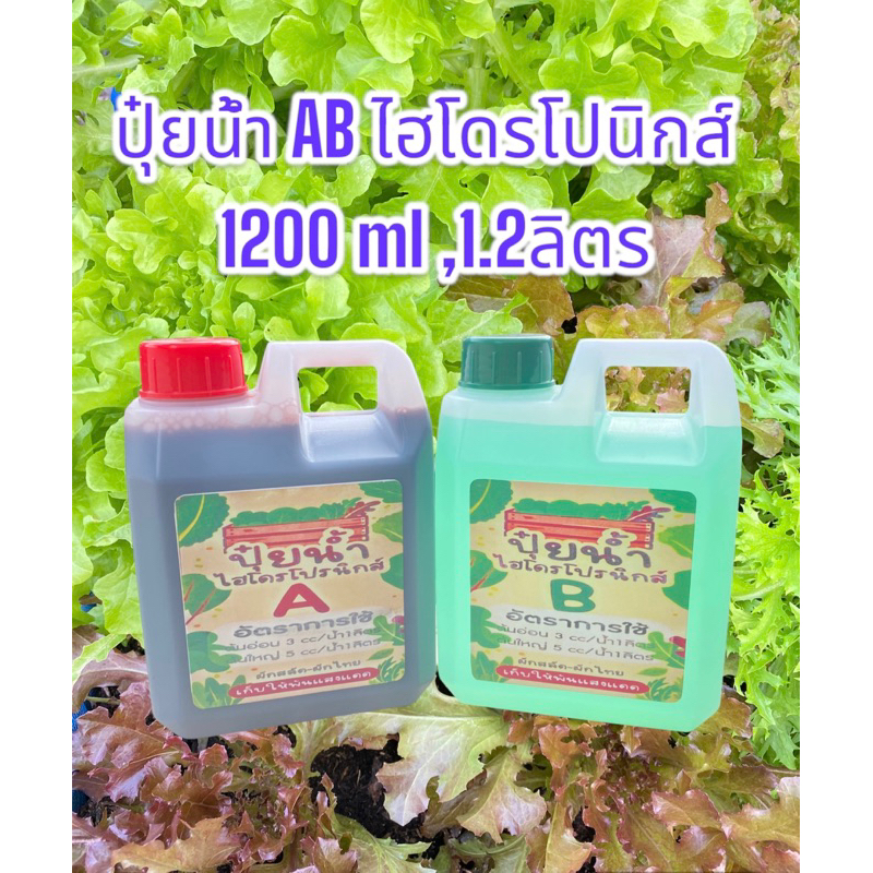 ปุ๋ยน้ำ AB ไฮโดรโปนิกส์ ระบบน้ํานิ่งและน้ำวน ขนาด 1200 mL (น้ำปุ๋ยไม่รวมน้ำหนักแกลอน 1.2 ลิตร) ปลูกได้ทั้งผักไทย-ผักสลัด