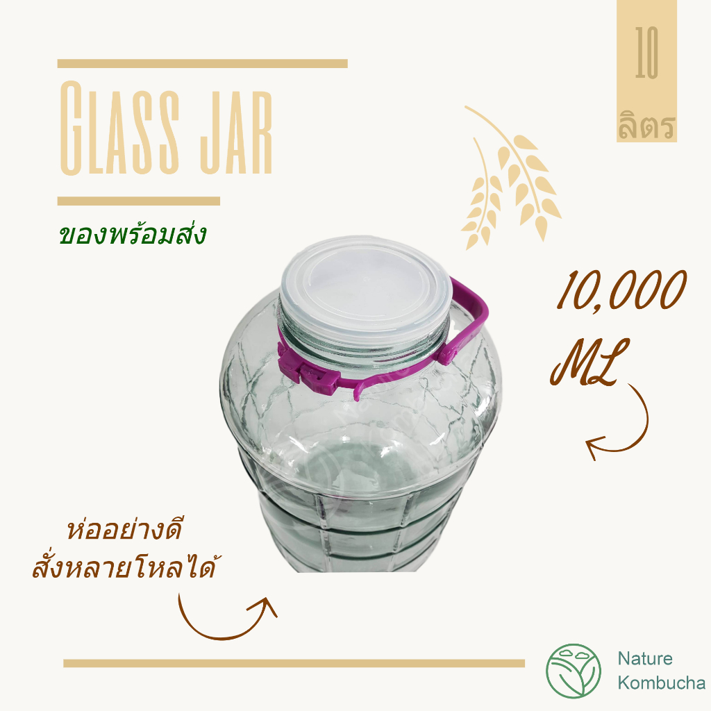 โหลแก้ว 8-10 ลิตร ดองบ๊วย ดองเหล้าบ๊วย คอมบูชา หมักดอง หนาคุณภาพ  | 8-10 Liter Glas JarKombucha brewing| Nature Kombucha