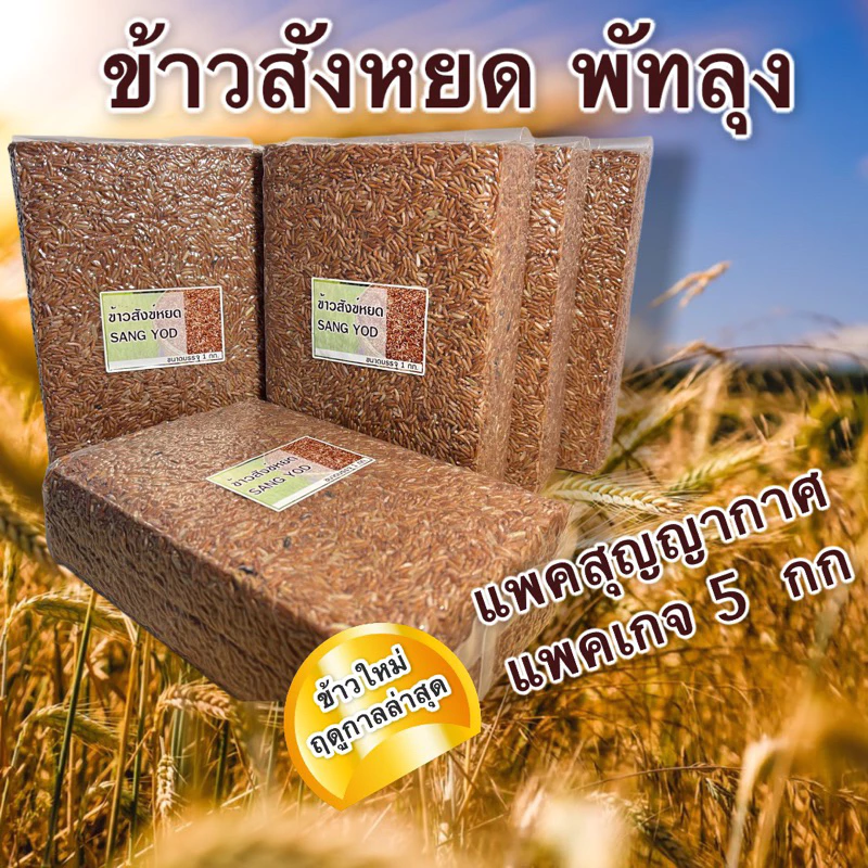 ข้าวสังข์หยด พัทลุงแท้ ชุด 5 กก. แพคสุญญากาศ