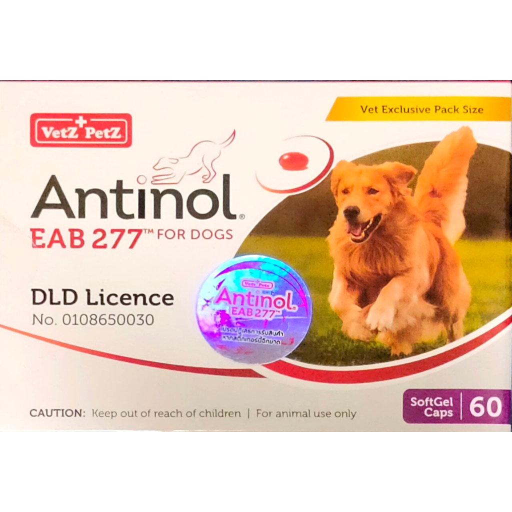 Antinol 60 capsules (EAB-277) หมดอายุ 03/25 สินค้าของแท้ ฉลากไทย อาหารบำรุงข้อสำหรับสุนัข