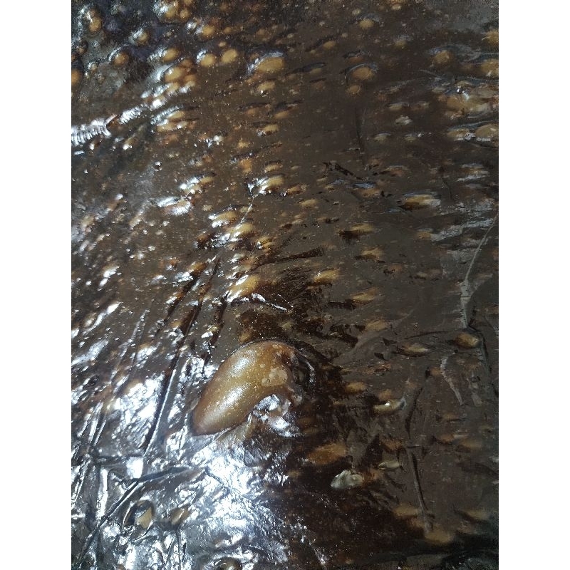 กาละแมกะทิสด 3 ชิ้น 100