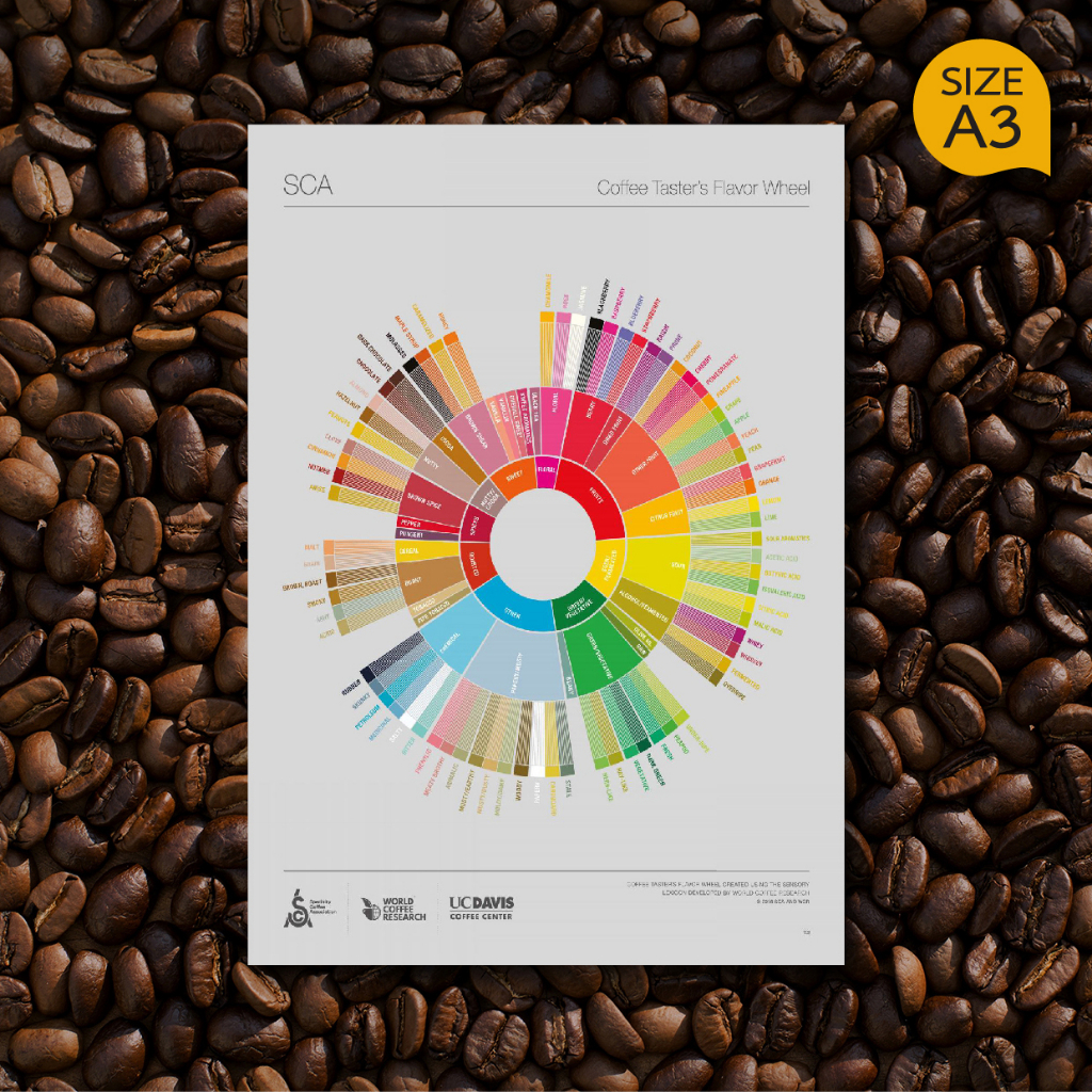 โปสเตอร์ กาแฟ Coffee Taster's Wheel วงล้อรสชาติกาแฟ สำหรับตกแต่งร้านกาแฟ ภาพคมชัด ส่งไว ขนาด A3