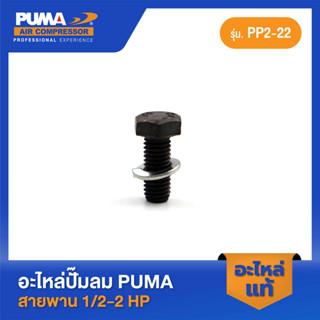 PUMA น็อตยึดฝาข้างแท็งค์ 1/2-2 HP #31 อะไหล่ปั๊มลมสายพาน รุ่น PP-2,PP-2P,PP-22,PP-21,PP-32