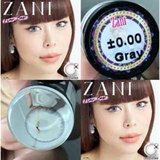 💋 มีค่าสายตา 💋 Wink Zani Gray Brown  บิ๊กอาย สุดปัง คอนแทคเลนส์ รายเดือน มีอย แถมตลับฟรี  เลนส์นิ่ม สวยปังมาก