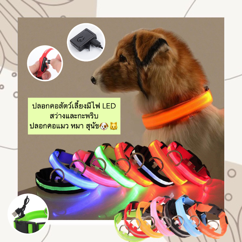 PP-454 ปลอกคอสัตว์เลี้ยง LED ปรับแสงได้ เพิ่มความปลอดภัยแม้ในที่มืด 🐶🐱 พร้อมส่งทันที!