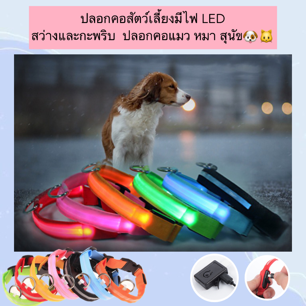AL-454 ปลอกคอสัตว์เลี้ยงมีไฟ LED สว่างและกะพริบ  ปลอกคอแมว หมา สุนัข LED ราคาถูก พร้อมส่ง🐱🐈