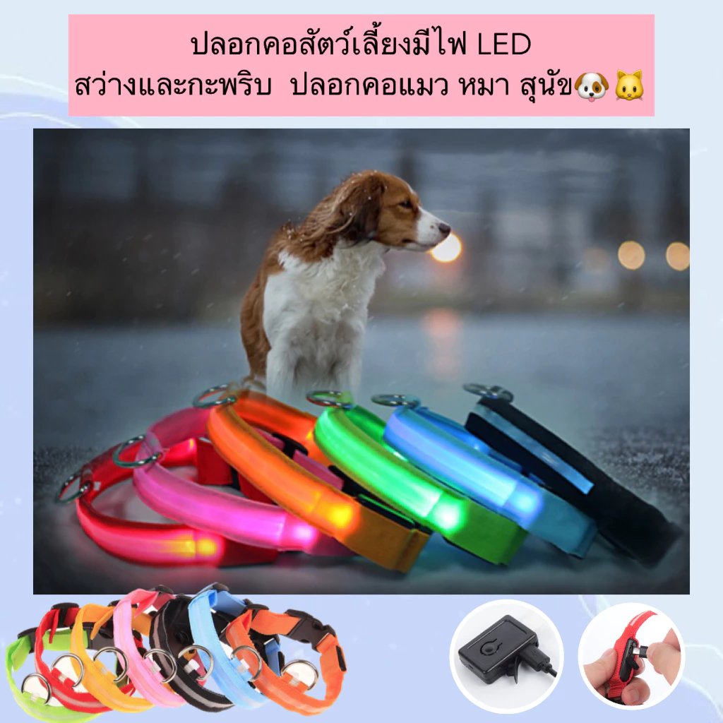 AL-454 ปลอกคอสัตว์เลี้ยงมีไฟ LED สว่างและกะพริบ ปลอกคอแมว หมา สุนัข LED ราคาถูก พร้อมส่ง🐱🐈