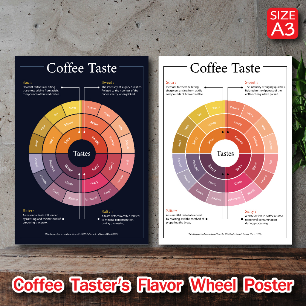 โปสเตอร์ กาแฟ Coffee Taster's Wheel วงล้อรสชาติกาแฟ สำหรับตกแต่งร้านกาแฟ ภาพคมชัด ส่งไว ขนาด A3