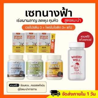 ส่งฟรี🥛เวย์โปรตีนทั้ง 7 รส📍 เซ็ตนางฟ้า Whey Protein โปรตีนคุมหิว คุมน้ำหนัก คุมหิวอิ่มนาน รีดไขมัน เผาพลาญไขมัน พร้อมส่ง