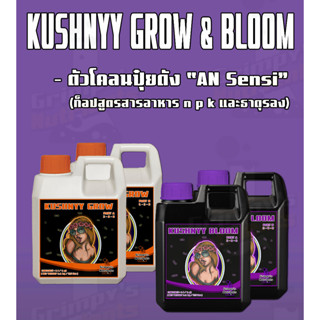 KUSHNYY GROW &amp; BLOOM ปุ๋ยน้อนกัญตัวโคลน “AN Sensi”