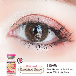 [ ใหม่!! ] คอนแทคเลนส์ คิตตี้ คาวาอิ Honeybee Brown ค่าสายตา