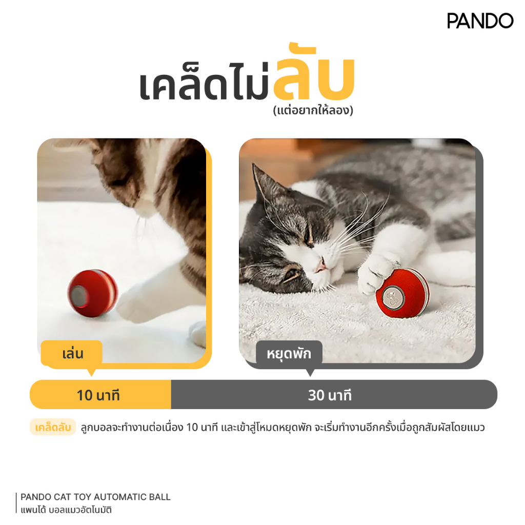 PANDO Cat Toy Automatic Ball แพนโด้ บอลแมวอัตโนมัติ - pando.official ...
