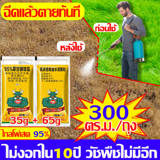 🔥ส่งในไทย🔥ยาฆ่าหญ้าออร์แกนิค สูตรOrganic ธรรมชาติ 100% ปลอดภัยไร้สารเคมี ใช้กำจัดวัชพืชทุกชนิด สารกำจัดวัชพืช