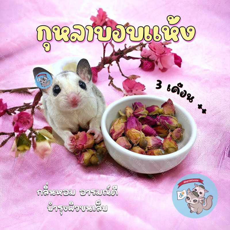 ( ดอกกุหลาบ ) ROSE กุหลาบอบแห้ง กุหลาบ ดอกไม้แห้ง ดอกไม้ อาหาร ขนม ของเล่น สัตว์ฟันแทะ ชูการ์ กระรอก ดอร์เมาส์ แฮมสเตอร์