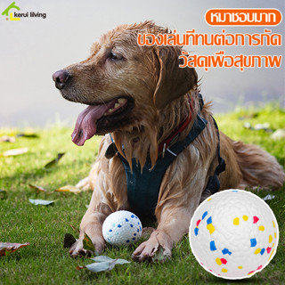 บอลยาง สำหรับสัตว์เลี้ยง ลูกบอลสุนัข สำหรับฝึกโยนรับ ลูกบอลกระเด้ง Dog Training Ball ลูกบอลนิ่ม ทนต่อการกัด มี 2 ขนาด