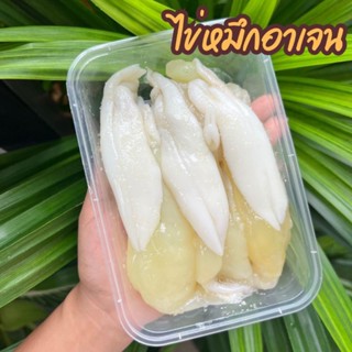 🦑🐙ไข่หมึก อาเจน กล่องละ300กรัม