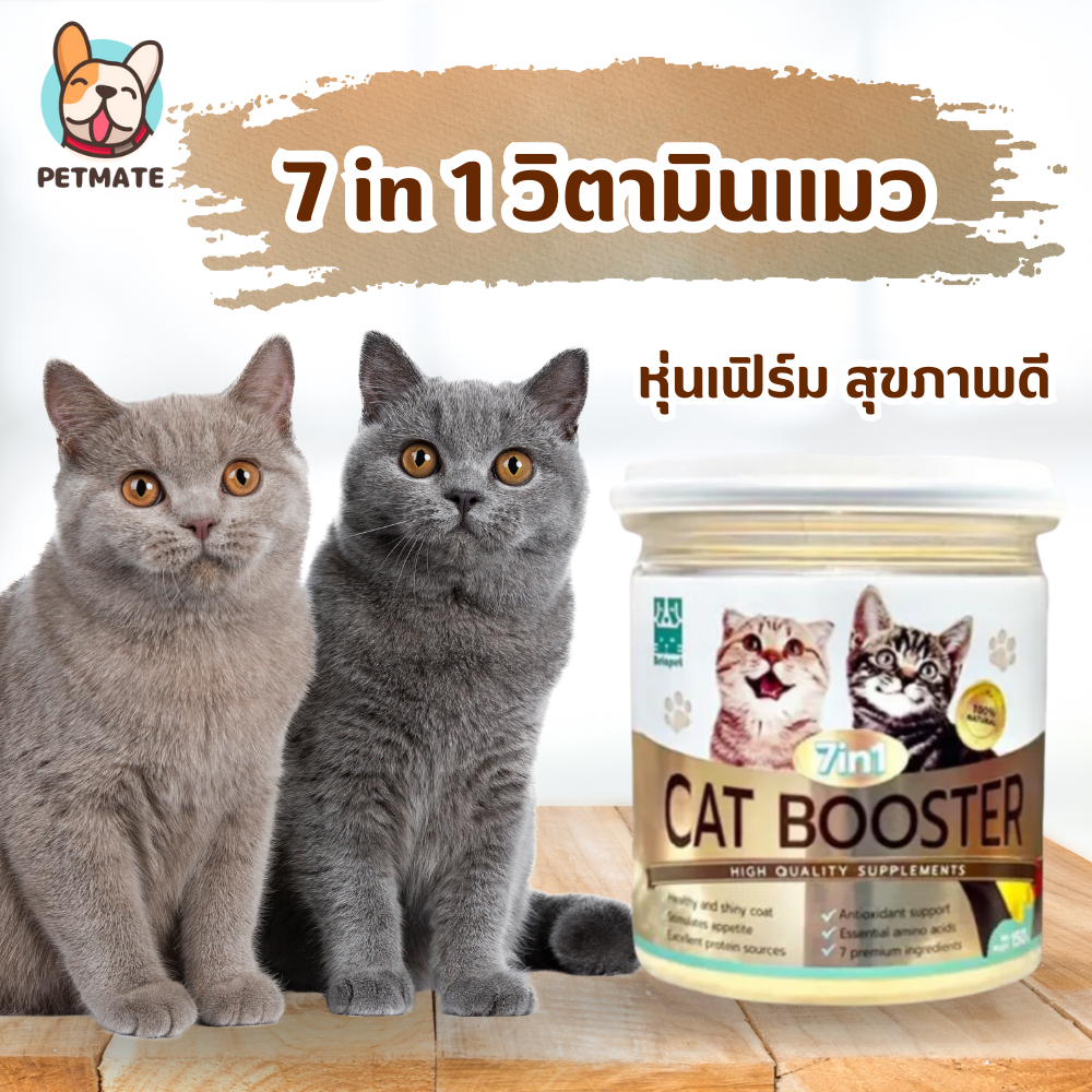 BETAPET วิตามินแมว สูตรเพิ่มน้ำหนัก 🐈 บำรุงขนสวย เสริมสร้างกล้ามเนื้อ บำรุงสุขภาพ 7 in 1 cat booster อาหารเสริมแมว
