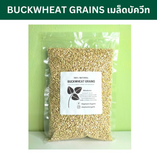 เมล็ดบัควีท บักวีต Green Buckwheat Grains 500g 1000g