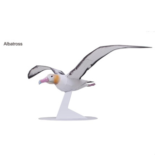 โมเดลกระดาษ 3D : Albatross นกอัลบาทรอส กระดาษโฟโต้เนื้อด้าน  กันละอองน้ำ ขนาด A4 220g.