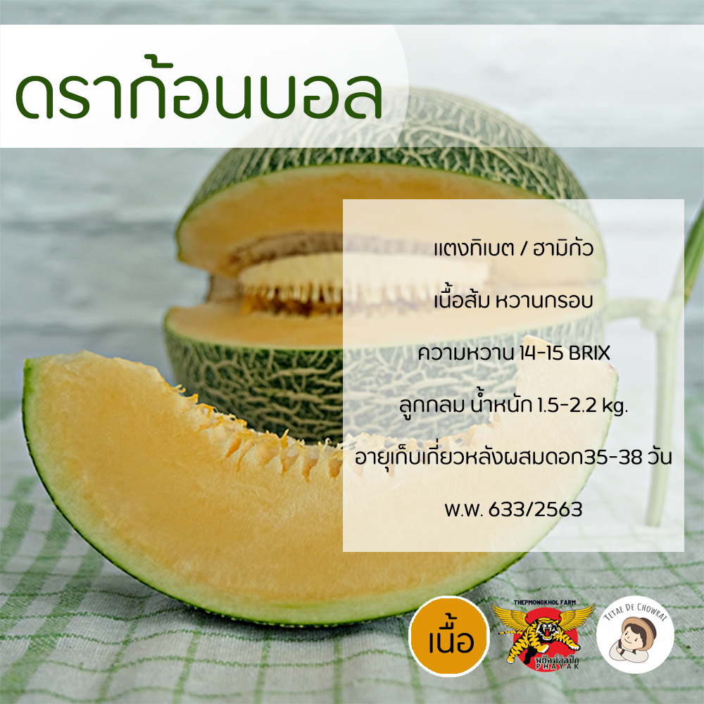 เมล็ดแตงทิเบตพันธุ์ดราก้อนบอล 100 เมล็ด ตราพยัคฆ์ติดปีก เทพมงคลเมล็ดพันธุ์