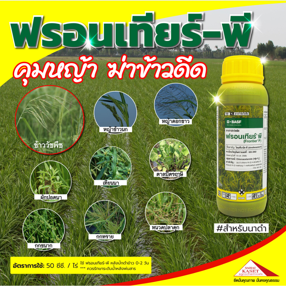 ฟรอนเทียร์-พี BASF คุมหญ้า ฆ่าข้าวดีด #สำหรับนาดำ ใช้กำจัดวัชพืช