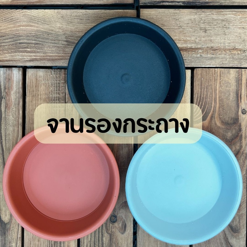 จานรองกระถางต้นไม้ ทรงกลม ราคา ถูกที่สุด ดีลบีเคเค แกลเลอรีภาพที่ 8