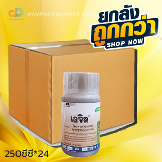 (ยกลังx24)เอจิล #โพรพาควิซาฟอบ 10% W/V ECขนาด250ซีซี เพื่อกำจัดวัชพืชประเภทใบแคบ เช่น หญ้านกสีชมพู หญ้าตีนติด หญ้าตีนนก