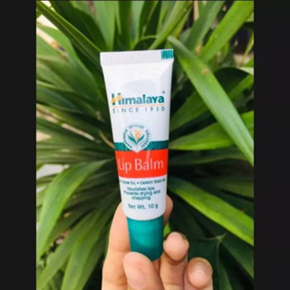 Himalaya Lip Balm ขนาด 10g. ของแท้ 100%