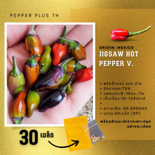 เมล็ดพันธุ์พริก Jigsaw Hot Pepper พริกด่าง สวยทานได้ 30 เมล็ด รับประกันสายพันธุ์แท้