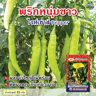 เมล็ดพริกหนุ่มขาว ไวท์เฮาส์ ตราภูเขาทอง Pepper เมล็ดพริก เมล็ดพันธุ์พริกหนุ่มขาว เมล็ดพันธุ์พริก เมล็ดพันธุ์ผัก