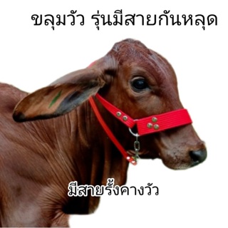 ขลุมวัว(กันหลุด) มีสายคอกันหลุด สายใหญ่แข็งแรง ปรับระดับได้3…