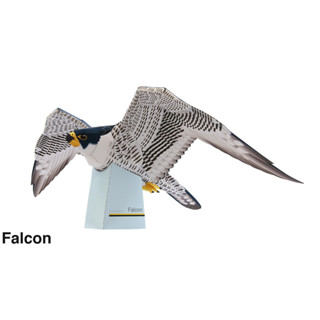 โมเดลกระดาษ 3D : Falcon เหยี่ยว กระดาษโฟโต้เนื้อด้าน  กันละอองน้ำ ขนาด A4 220g.