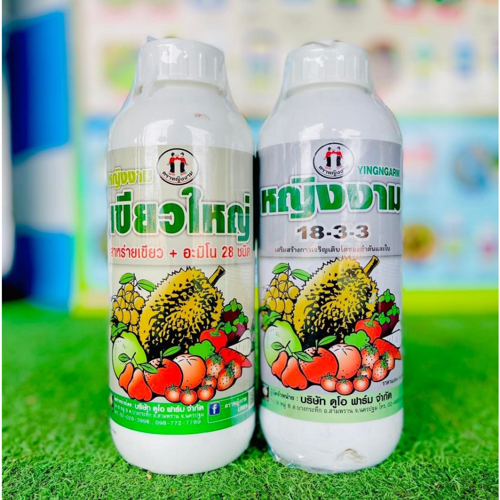 ชุดดึงใบ ตราหญิงงาม ดูโอเขียวใหญ่และ18-3-3