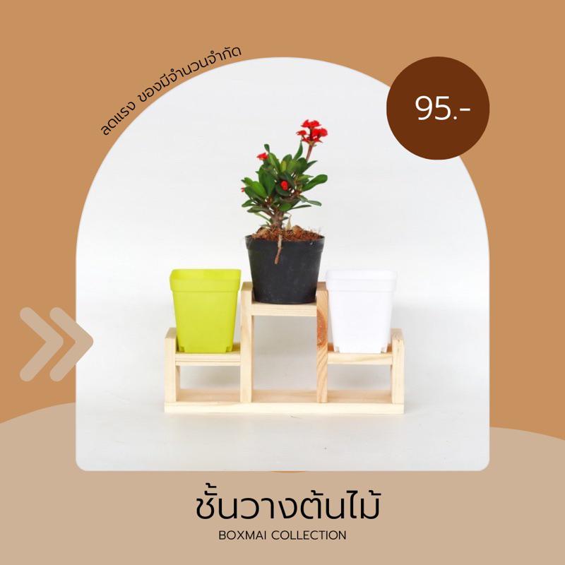 ‼️ถูก  ส่งเร็วทันใจ‼️  ชั้นวางของหรือวางต้นไม้ทรงเอ 3 ชั้น