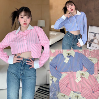 Korea stripe crop shirt💘(350฿) เสื้อเชื้ตทรงครอป สไตล์เกาหลีเกาใจ ดีเทลทูโทนตัดปกกับขอบแขนสีขาวเก๋ๆ valen