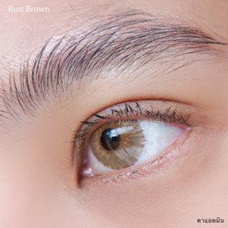 Rust Brown คอนแทคเลนส์นำเข้า รายปี 390.- มีค่าสายตา (รูม่านตาเล็ก)